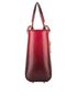 Christian Dior Ombre Mini Lady Dior, side view